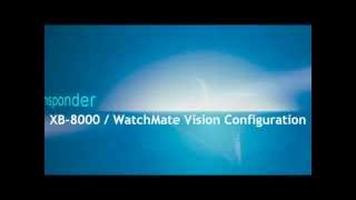 Joe's Flies Black/Gold Joes Special Size #8 - High Quality/Fishing Accessory