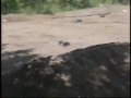 moonstone rc races part 2