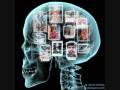 Redes Sociales.wmv