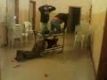 STupidate STupidate