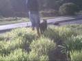 pitokeira.wmv