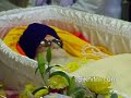 Gianni Amolak Singh - Tribute