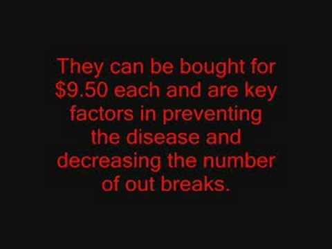 See video