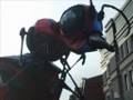 La Ville De Montréal Attaquée Par Des Insectes Géants!