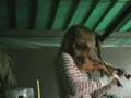 Anneloes-playing-the