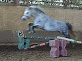Pirit saut en libert�