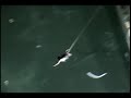 Bungy Acapulco Mayo 2008 Lolis 8-8 Bungy Acapulco Mayo 2008 Lolis 8-8