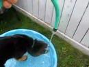 Eva and the Hose