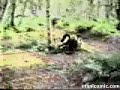 video-gracioso.html