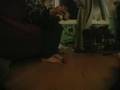 Kendama with Jimi Paszkiewicz