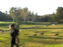 goose chasing goose chasing