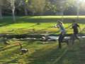 goose chasing
