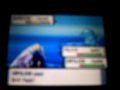 Pokemon Pearl random fihgt pt.1 Pokemon Pearl random fihgt pt.1