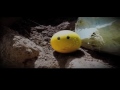 TAAQ - One Small Love TAAQ - One Small Love
