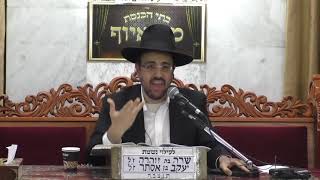 הרב מאיר אליהו • פרשת ויחי תשפ’א