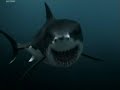 Sea Monsters: Mosasaurus, Liopleurodon, Megalodon