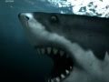 Sea Monsters: Mosasaurus, Liopleurodon, Megalodon