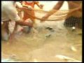 2º edição da Feira do Peixe, em Bujari