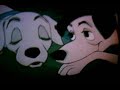 Disney Animals in Love - Love will find a way