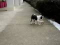 videos de Mawlch Tess playing - part 2