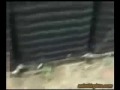 Video screenshot