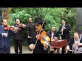 Tcha Limberger Anglia budapest gypsy orchestra