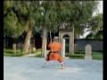 The Shaolin Traditional Kung Fu Series - Yang Style Spear