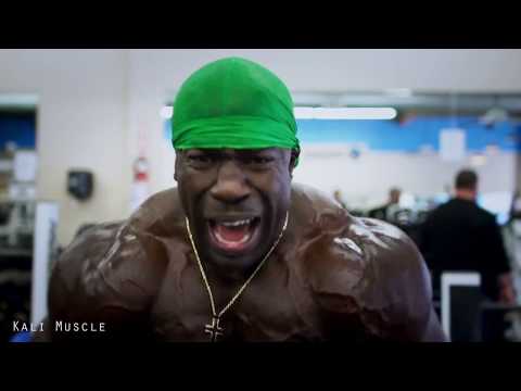 how to train arm muscles