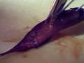 videos de El Pinky