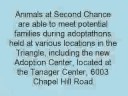 i-goodsearch-for-second-chance-pet-adoptions.html