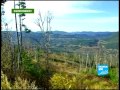 FRANCE 24 Environment - Nature bites back