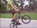 bmx pcsf