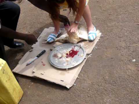 girl killing chicken