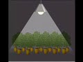 ready set grow part 1of 7 updated
