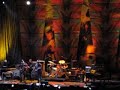 Neil Young at Farm Aid 2008 Neil Young at Farm Aid 2008