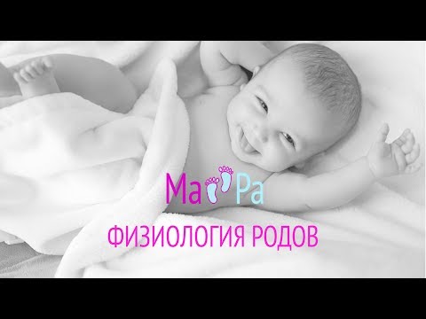Видео: kqar52riyG4
