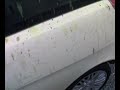 La mia Ypsilon e i piccioni