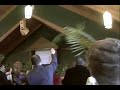 Apostolic Faith Church_2.AVI