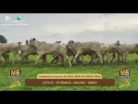 522 LEILO VIRTUAL MB LEILES