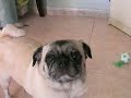 mimi 2 mimi 2