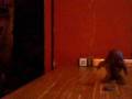 videos de YAY. a clay mine!