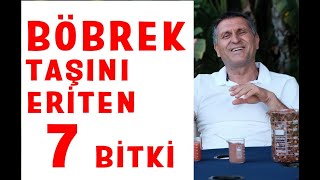 BÖBREK TAŞINI ERİTEN VE DÜŞÜREN BİTKİLER v