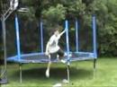 Trampoline accident
