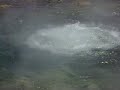 Lake bogoria Lake bogoria
