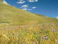 Castelluccio Di Norcia, Monti Sibillini, Umbria Italy