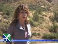 Capital Solutions - What Our Clients Say