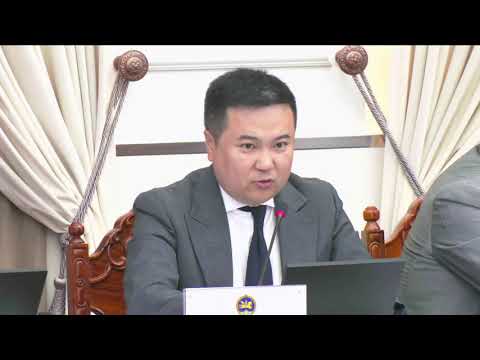 П.Сайнзориг: УИХ  өөрөө хэт их журам гарах нөхцөлийг бүрдүүлээд байгаа