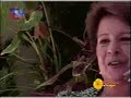 Cuidados de jardineria