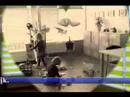 Inwijding praktijk door de directrice