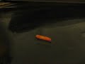 ??.... ??? 1